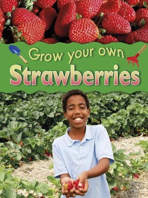 cover image of Strawberries